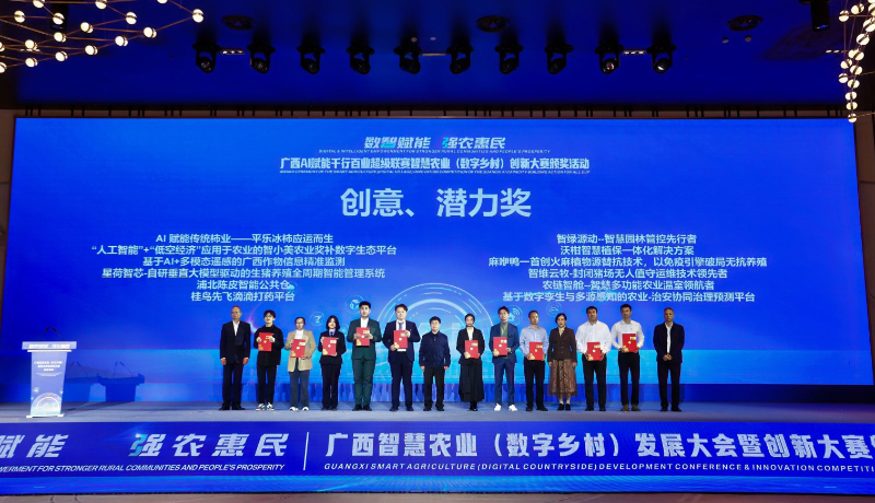 颁奖仪式现场。主办方供图